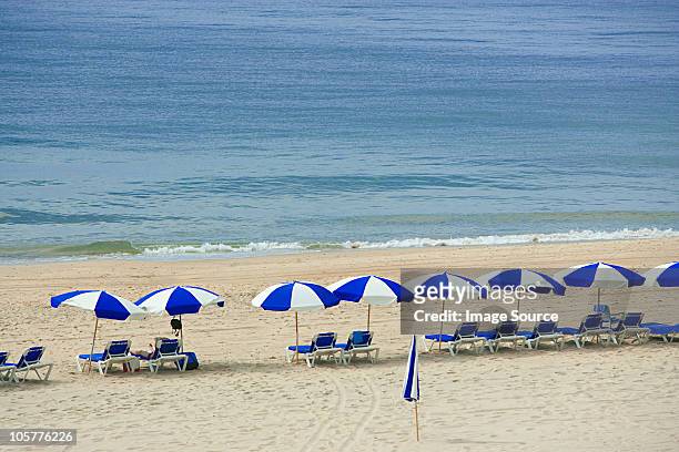 parasols and sun loungers on beach, montauk, long island - ハンプトン ストックフォトと画像