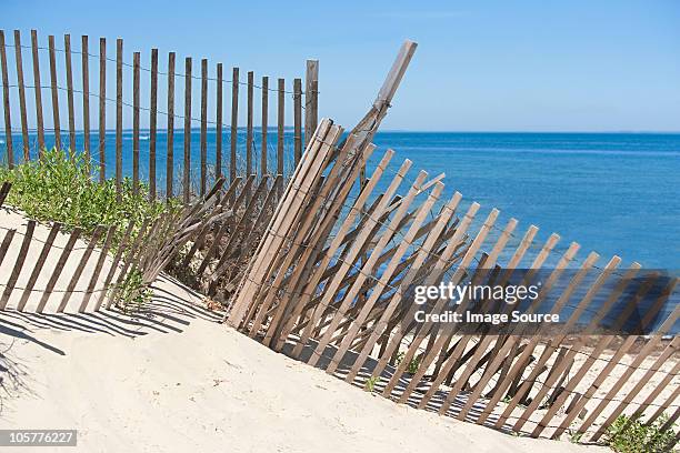 fence on a beach, montauk, long island - hampton stock pictures, royalty-free photos & images