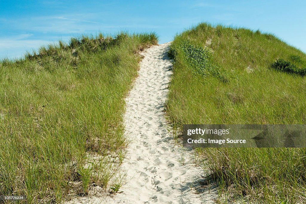 Sand path over dune, Montauk, Long Island