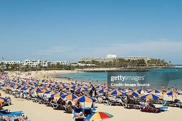 parasols on puerto del carmen beach , lanzarote - puerto del carmen stock pictures, royalty-free photos & images