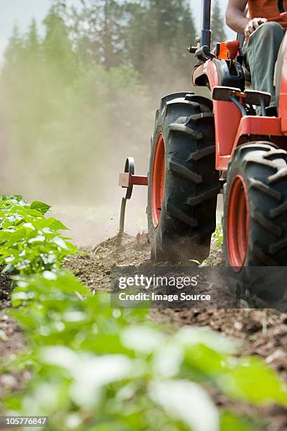 Riding Tractor Photos and Premium High Res Pictures - Getty Images