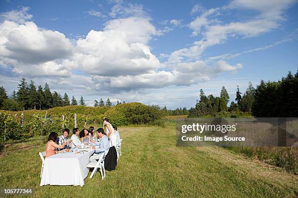 people at dinner party on a farm - the blue man group in vancouver stock pictures, royalty-free photos & images