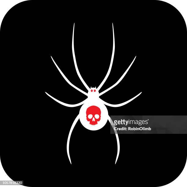 white spider with red skull icon. - black widow spider stock illustrations