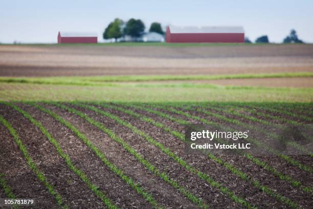 Field Ridge Ridge Farm Illinois Photos and Premium High Res Pictures - Getty Images