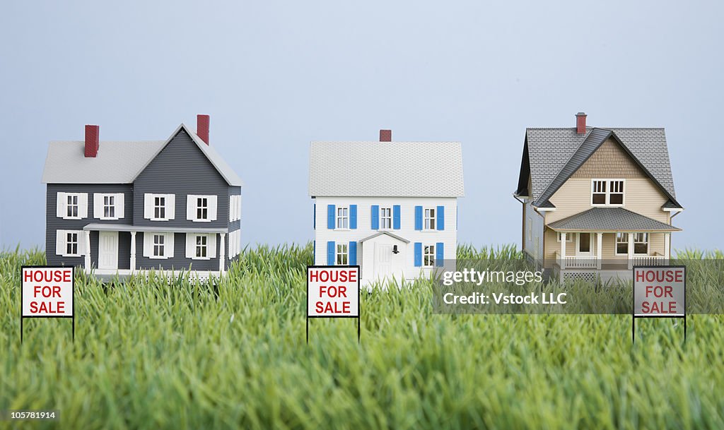 Scale model homes on grass
