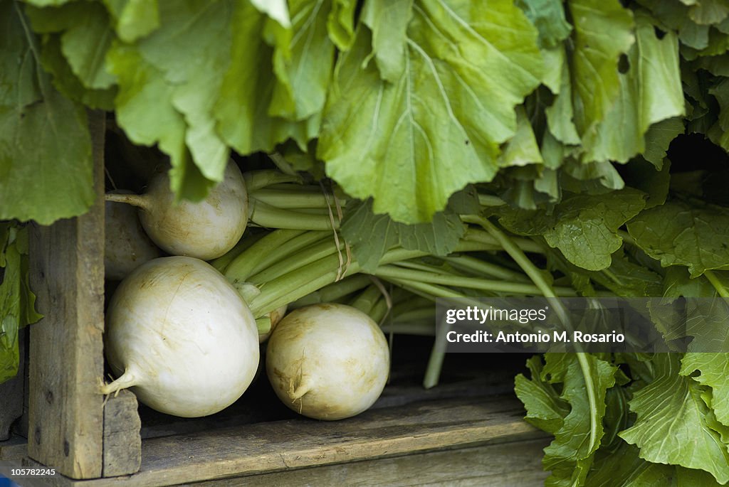 Radishes in crate