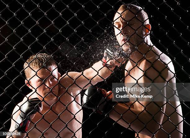 cage fighters - ring fight photos et images de collection