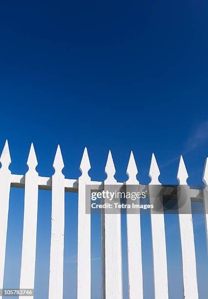 white picket fence - steccato foto e immagini stock
