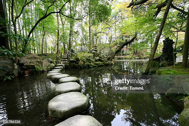 stepping stones - in a japanese garden stock pictures, royalty-free photos & images