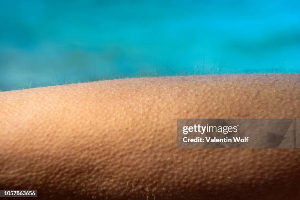 goose bumps, close-up, detail, germany - goosebumps up close stock pictures, royalty-free photos & images