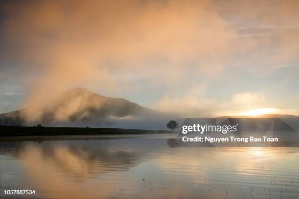 dawn on the lake with fog, mountain and lonely tree - fresh air stock-fotos und bilder