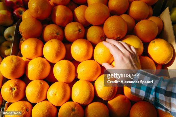 man buying oranges at the farmer's market, personal perspective point of view - supermarket fruit stock-fotos und bilder