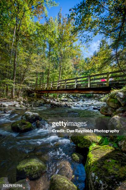 great smoky mountains national park,usa - knoxville tennessee fotografías e imágenes de stock