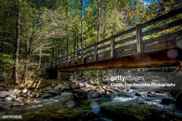 great smoky mountains national park,usa - knoxville tennessee fotografías e imágenes de stock