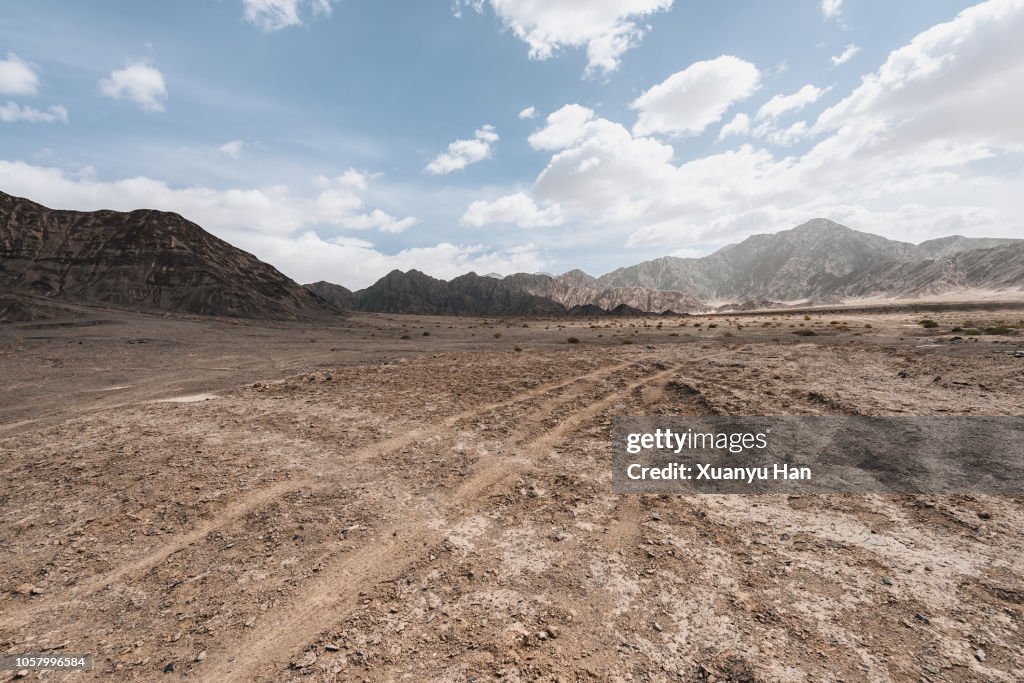 Tyre tracks through the desert