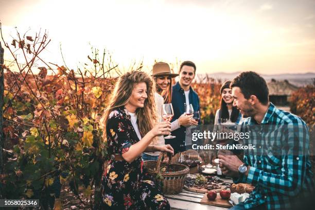 amis faire une dégustation de vin - gouter photos et images de collection