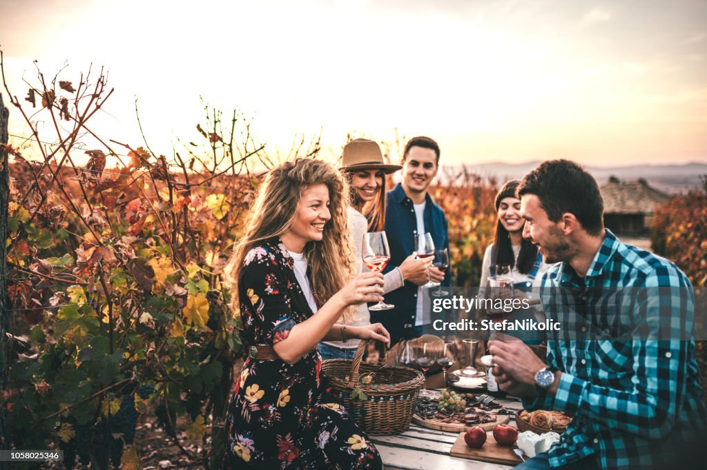 Friends doing a wine tasting