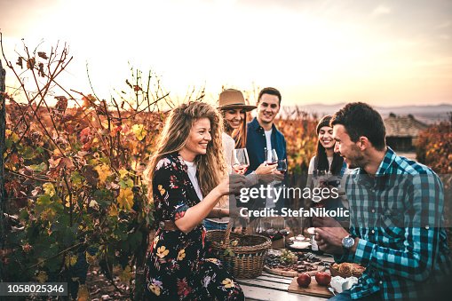 Friends doing a wine tasting Friends doing a wine tasting