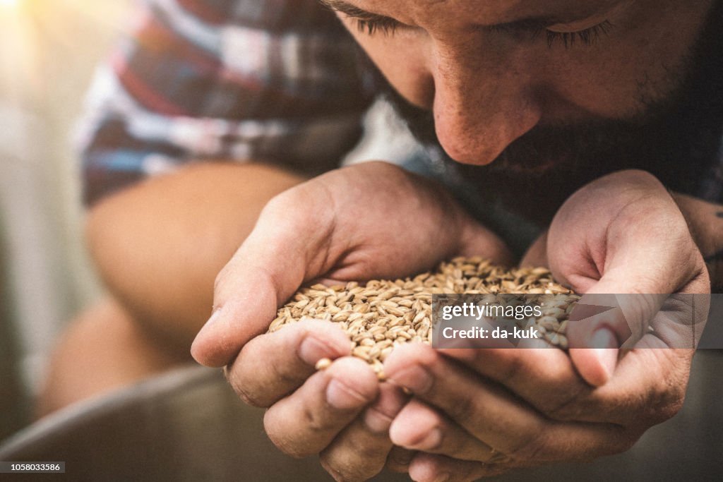 Farmer holding grains