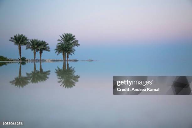 sunset, infinity pool, hurghada, egypt - hurghada stock pictures, royalty-free photos & images