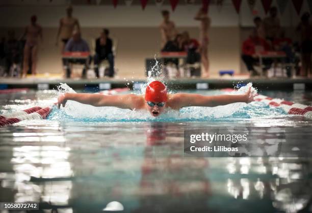 giovane ragazzo nuoto colpo farfalla per gli sport scolastici - forward athlete foto e immagini stock