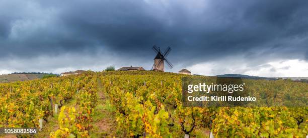 moulin-a-vent and vineyards in beaujolais wine growing area, france - rhone river stock pictures, royalty-free photos & images