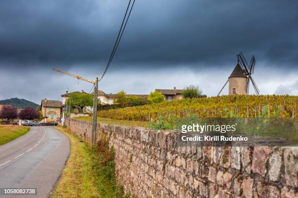 moulin-a-vent and vineyards in beaujolais wine growing area, france - ブルゴーニュ　harvest wine ストックフォトと画像