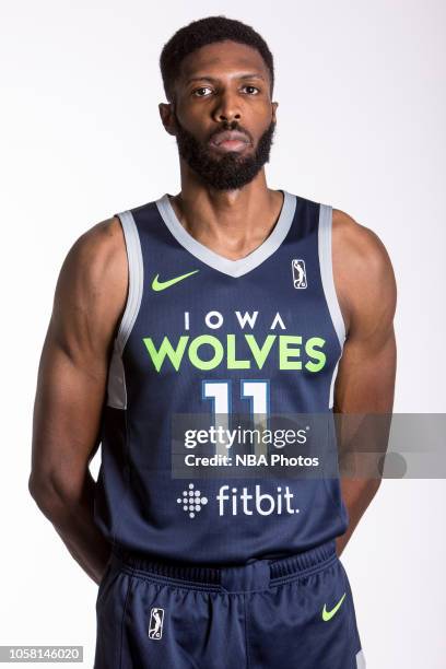 Hakim Warrick of the Iowa Wolves poses for a head shot during NBA G-League media day on October 30, 2018 at Wells Fargo Arena in Des Moines, Iowa....