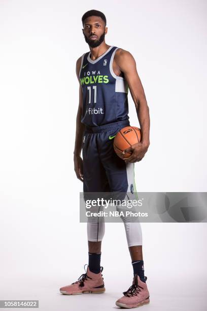Hakim Warrick of the Iowa Wolves poses for a portrait during NBA G-League media day on October 30, 2018 at Wells Fargo Arena in Des Moines, Iowa....