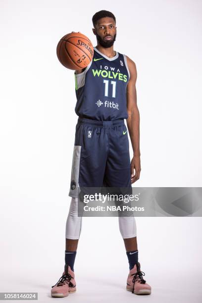 Hakim Warrick of the Iowa Wolves poses for a portrait during NBA G-League media day on October 30, 2018 at Wells Fargo Arena in Des Moines, Iowa....