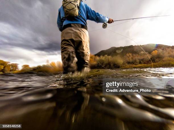 fly fishing casting - fly fishing stock pictures, royalty-free photos & images