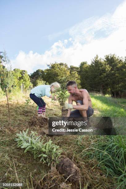 dad and daughter planting a tree in rural setting - kid in tree stock pictures, royalty-free photos & images