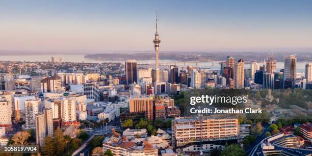 aerial view of auckland city skyline, new zealand - auckland stock-fotos und bilder