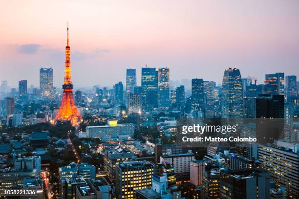 high angle view of tokyo skyline at dusk, japan - prefettura di tokyo foto e immagini stock
