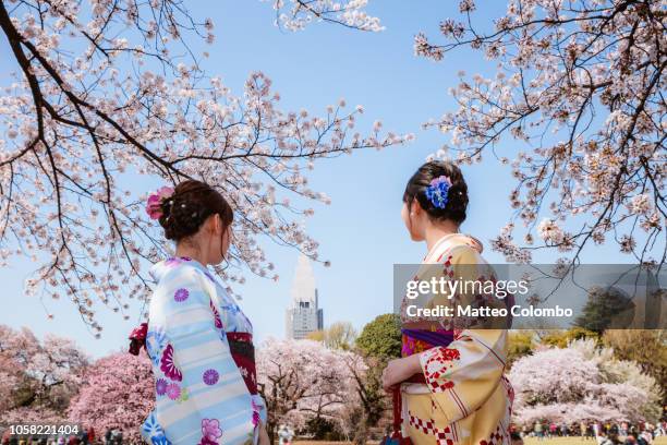 japanese women in kimono enjoying cherry blossom, japan - ueno park stock-fotos und bilder