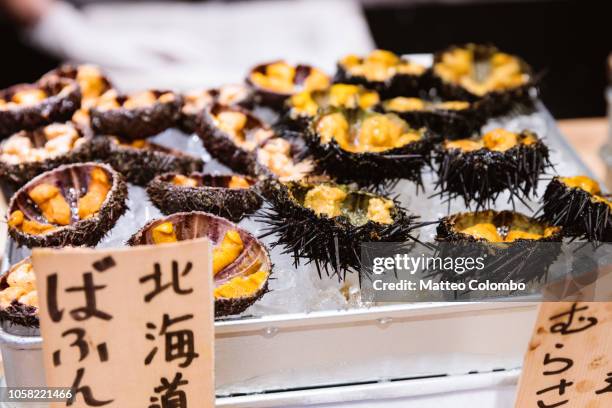 sea urchins at tsukiji fish market, tokyo, japan - mercato del pesce di tsukiji foto e immagini stock