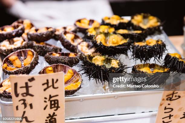 sea urchins at tsukiji fish market, tokyo, japan - sea urchin stock pictures, royalty-free photos & images