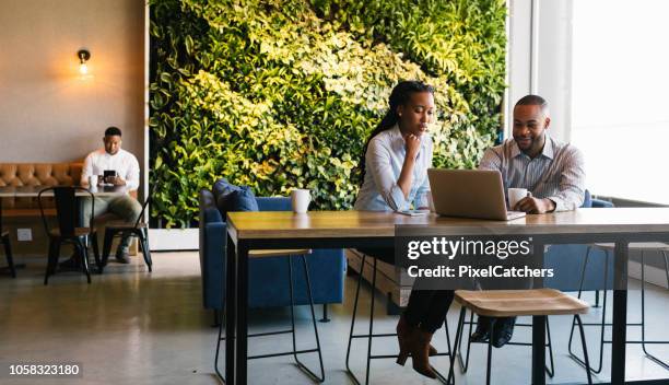 jovens adultos trabalhando em ambiente de escritório casual - largo descrição geral - fotografias e filmes do acervo