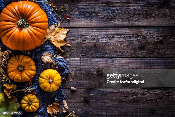thanksgiving day or autumn pumpkin holiday background - october stock pictures, royalty-free photos & images