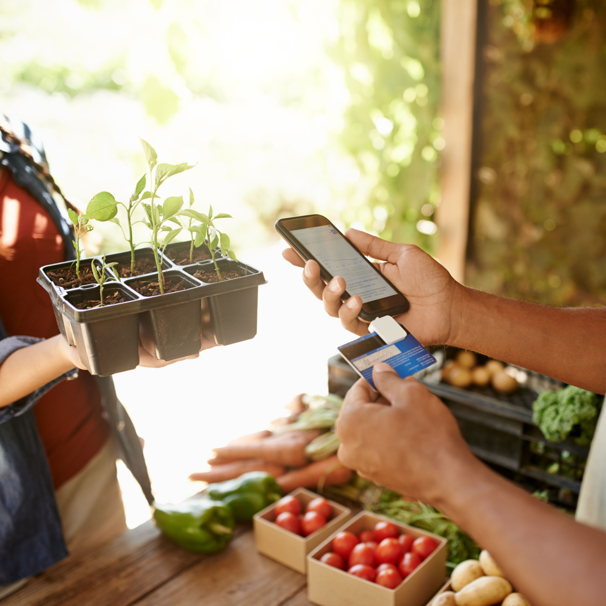 square payment