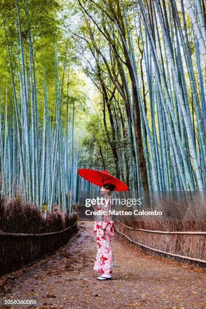 japanese woman with umbrella at bamboo grove, kyoto - arashiyama stock pictures, royalty-free photos & images