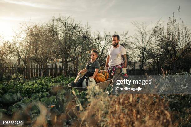 family farming together - wheelbarrow stock pictures, royalty-free photos & images