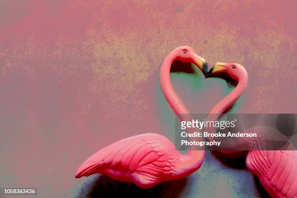 two pink flamingos kissing - flamingos stock-fotos und bilder