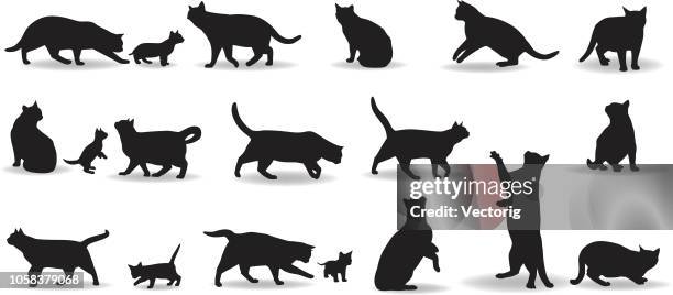 katzen - cat icon stock-grafiken, -clipart, -cartoons und -symbole