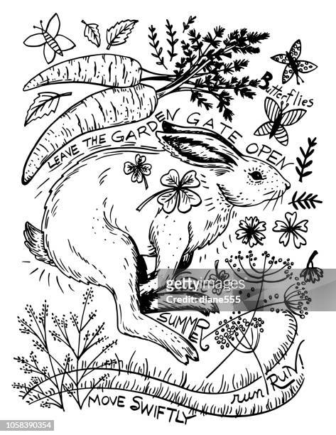 hand drawn rabbit and plants - jackrabbit stock illustrations