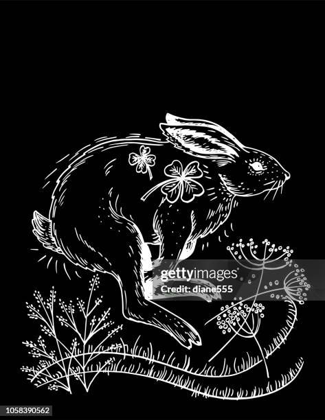 hand drawn rabbit and plants - jackrabbit stock illustrations