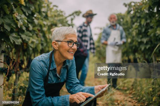 mujer senior con tableta digital - food company manager fotografías e imágenes de stock