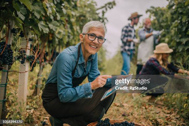 femme souriante, à l’aide de tablette numérique - vignerons photos et images de collection