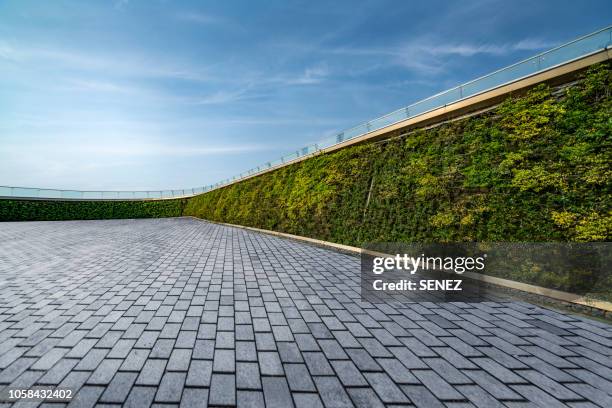 parking lot, wall decorated with the plants - city wall ストックフォトと画像