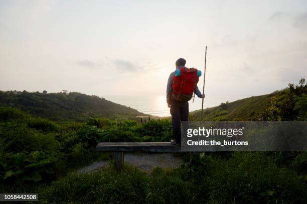 rear view of man with hiking pole on coastal footpath - hiking pole stock-fotos und bilder